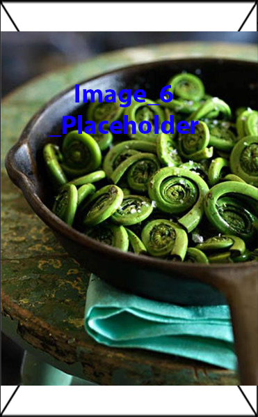 Image 6 Placeholder